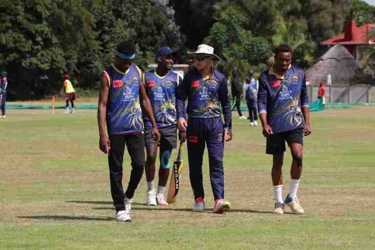 Unbeaten Lions face Westside in NPL T20 Blast final