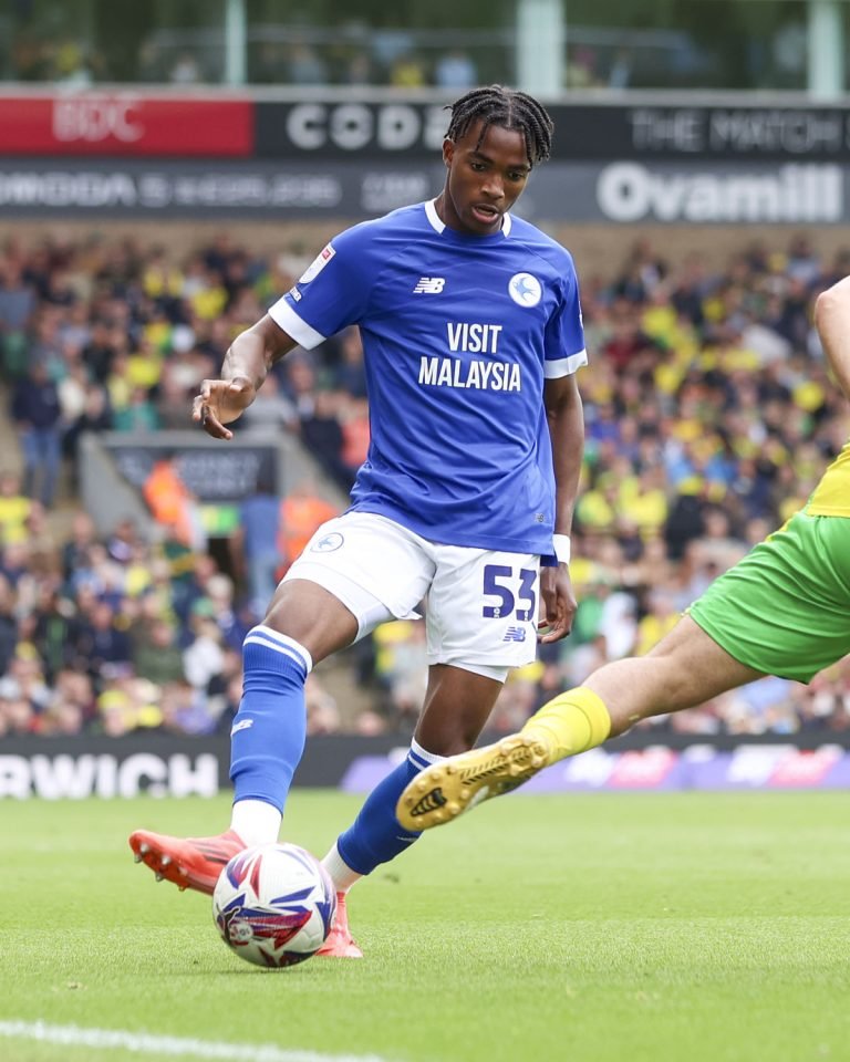 Zimbabwean starlet Tanatswa Nyakuhwa makes first team debut at Cardiff City